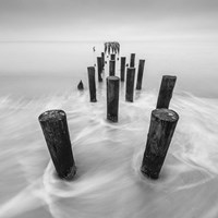 Movement Fine Art Print