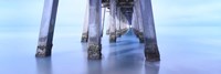 Naples Pier Morning Fine Art Print
