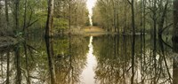 Suwanne Reflection Panoramic Fine Art Print