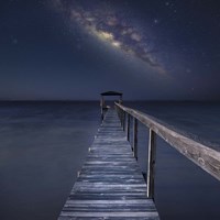 Milky Way in Florida Fine Art Print