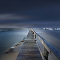 Options Color Fine Art Print