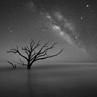 Milky Way In Botany Bay 2 Fine Art Print