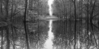 Suwanne Reflection Pano BW Fine Art Print