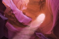 Light on Antelope Framed Print