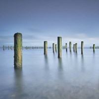 Army 2 Fine Art Print