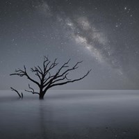 Milky Way In Botany Bay 1 Fine Art Print
