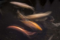 Movement 1 Fine Art Print