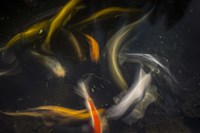 Movement 2 Fine Art Print