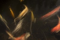 Movement 3 Fine Art Print