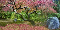 Pink Tree Fine Art Print