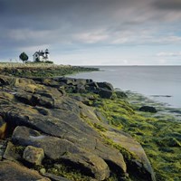 Prospect Light 1 Fine Art Print