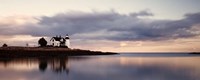 Prospect Light Panoramica 2 Color Fine Art Print