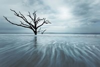 Searching For Life Color Edit Fine Art Print