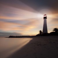 Still Searching Fine Art Print