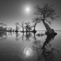 Sunrise 2 Fine Art Print