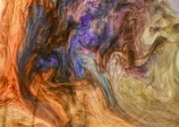 Ephemeral Beauty 4 Fine Art Print