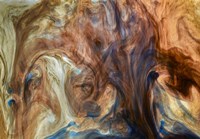 Ephemeral Beauty 9 Fine Art Print