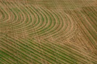 Abstract Air 1-1 Fine Art Print