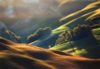 Tuscany Sunrise Fine Art Print