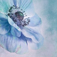 Shades of Blue Fine Art Print