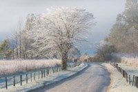 A Frosty Morning Fine Art Print