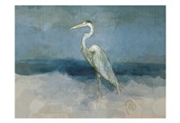 White Heron Fine Art Print