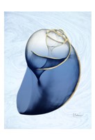 Marble Indigo Snail 2 Fine Art Print