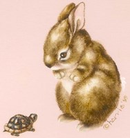 Bunny And Turtle Fine Art Print