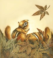 Fall Flurry Fine Art Print