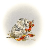 Elephant Fine Art Print