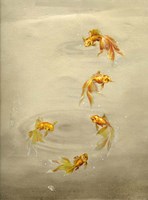 Glittering Goldfish Fine Art Print