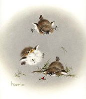 Grounded Fine Art Print