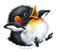 Let It Snow - Penguin Fine Art Print