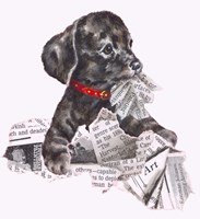 Newspaper Pup - 13A Fine Art Print