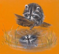Reflective Racoon - 35A Fine Art Print