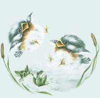 Splish Splash Fine Art Print