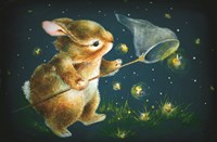 Light Show Fine Art Print