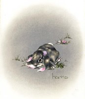 Ear We Go Again Fine Art Print