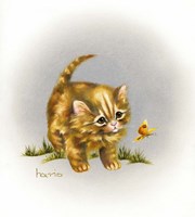 Fraidy Cat Fine Art Print
