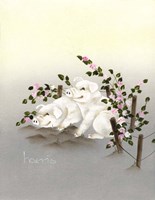 Swine And Roses Fine Art Print