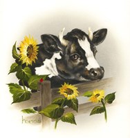 Bull & Sunflowers Fine Art Print