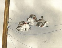 One Ringy Dingy Fine Art Print