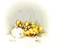 Ducks And Egg Fine Art Print