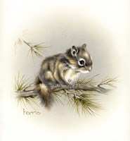 Tattle-Tail Baby Fine Art Print