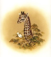Giraffe Fine Art Print