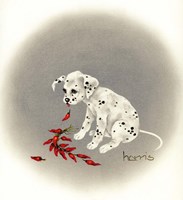 Dalmation 5 - Chile Dog Fine Art Print