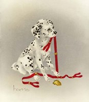 Dalmation 4- Hot Diggity Dog Fine Art Print