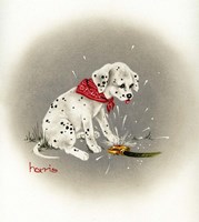 Dalmation 3- Sprinkles Fine Art Print