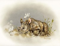 Rhino Baby Fine Art Print
