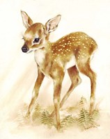 Fawn Fine Art Print